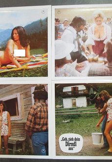 Alman Köy Evi Sex Filmi İzle